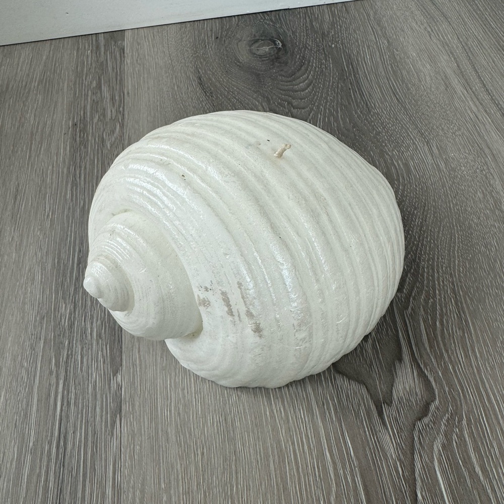Sea shell conch candle new